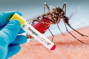 ডেঙ্গু- ADAB Dengue Awareness